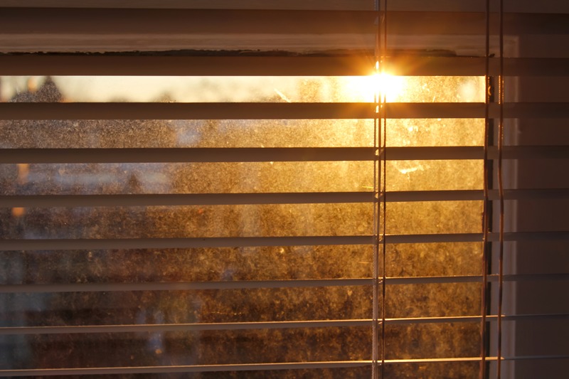 Morning Light Through Blinds