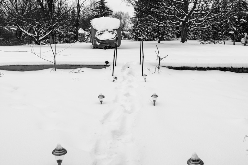 Winter's Silent Pathway