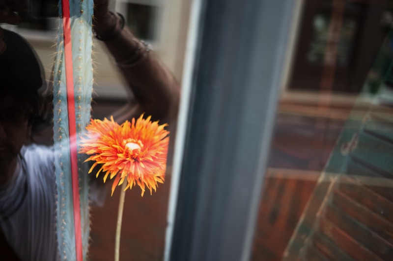 Reflections of Nature