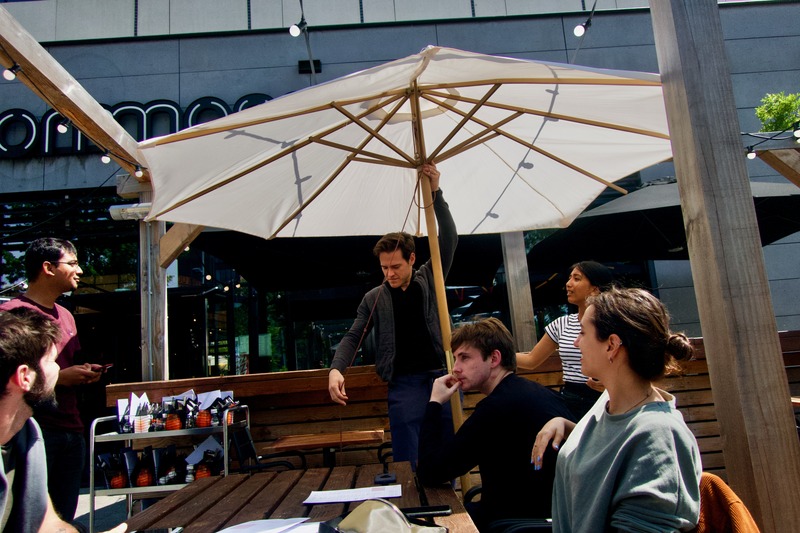 Under the Sunlit Canopy