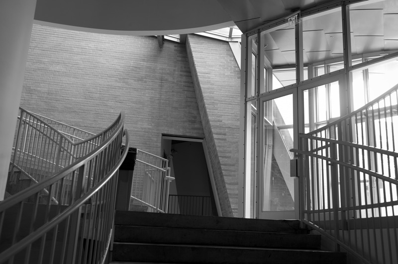 Dynamic Lines in Monochrome