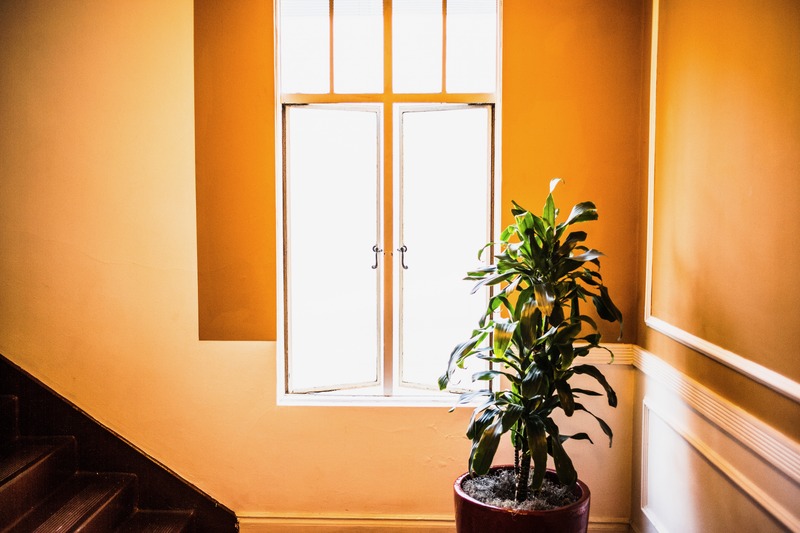 Quiet Corner of Light