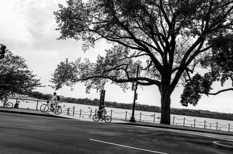 Bicycles by the Water