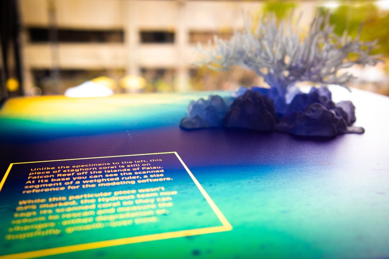 Coral Display with Information