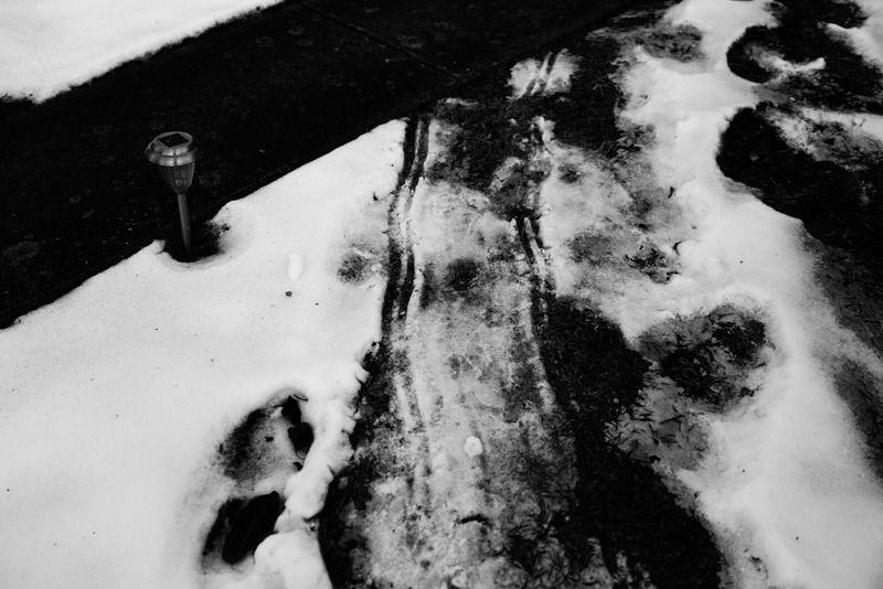 Winter's Silent Imprint