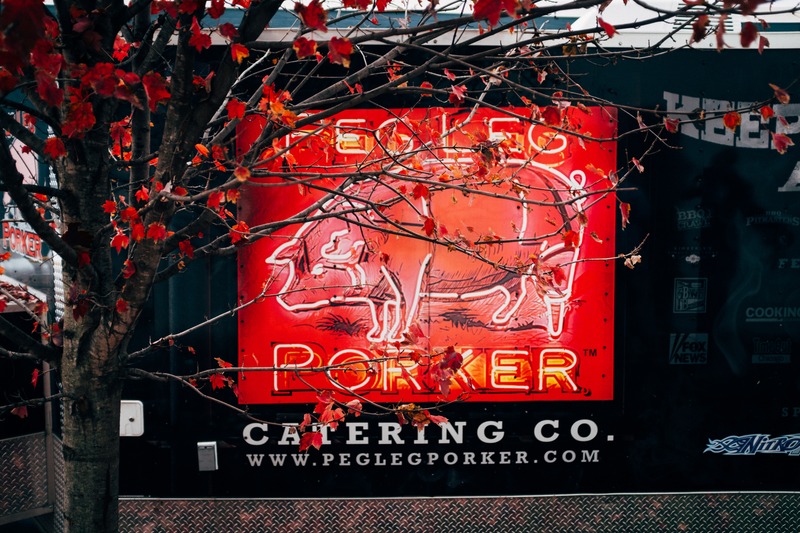 Neon Delight Among Autumn Leaves