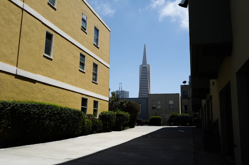Urban Architecture and Skyline