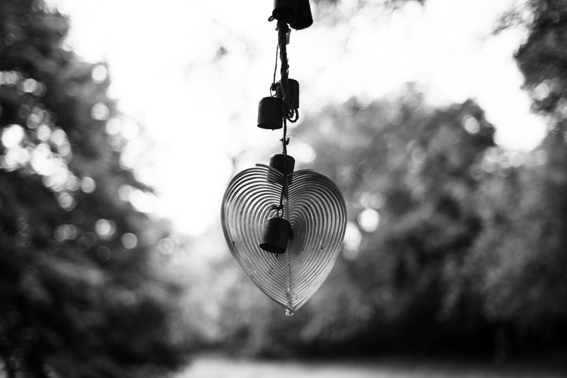 Whimsical Heart in Nature