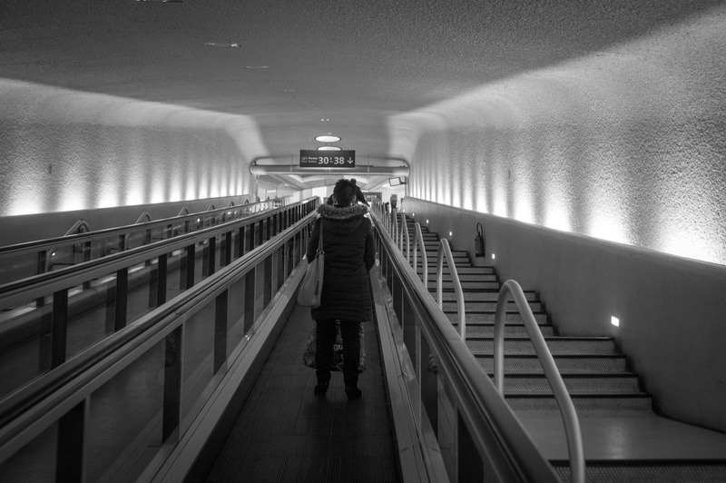 Journey Through Shadows