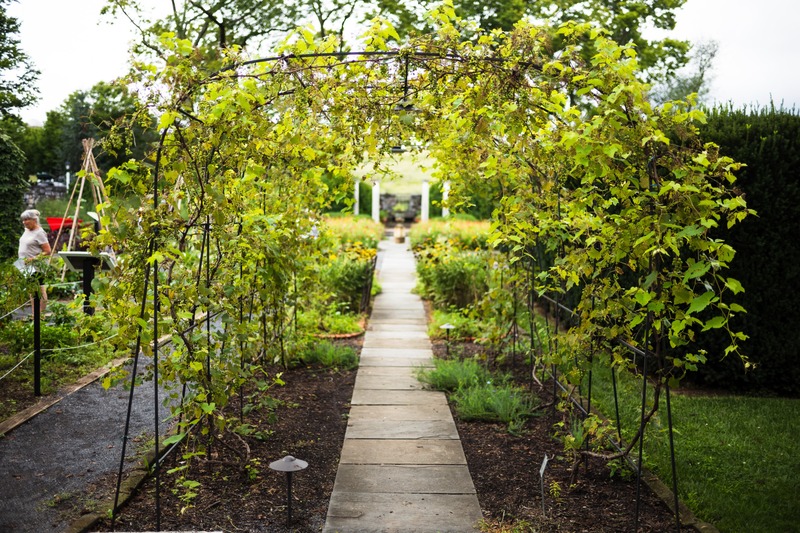 Pathway to Tranquility