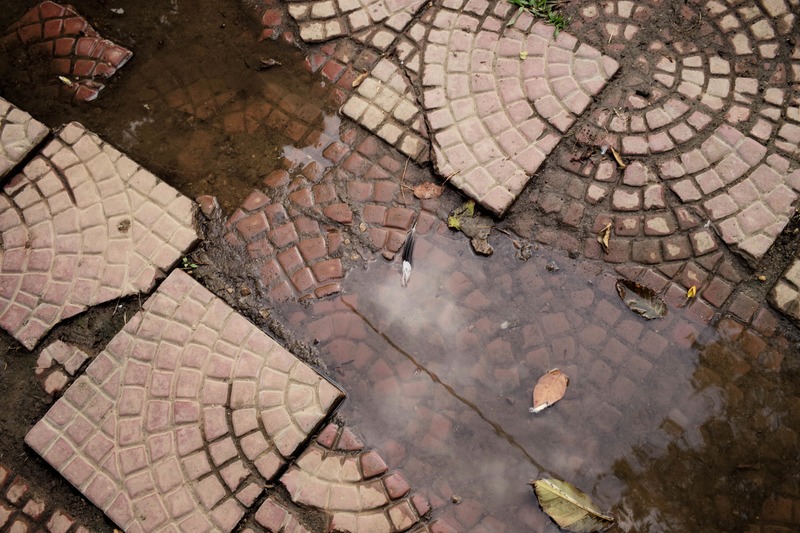 Patterned Reflections