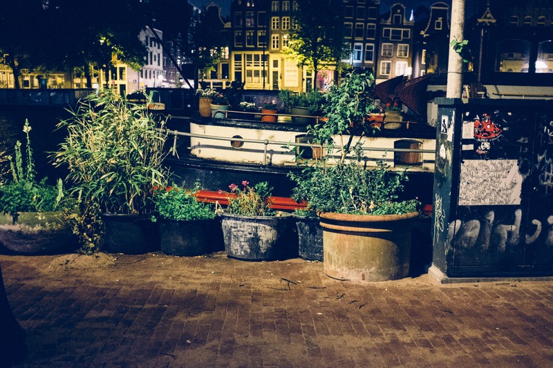 Calm Waters at Night