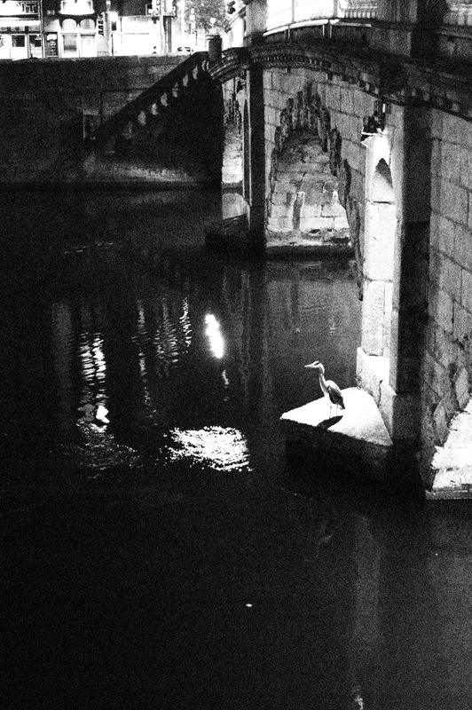 Solitary Vigil by Moonlit Waters