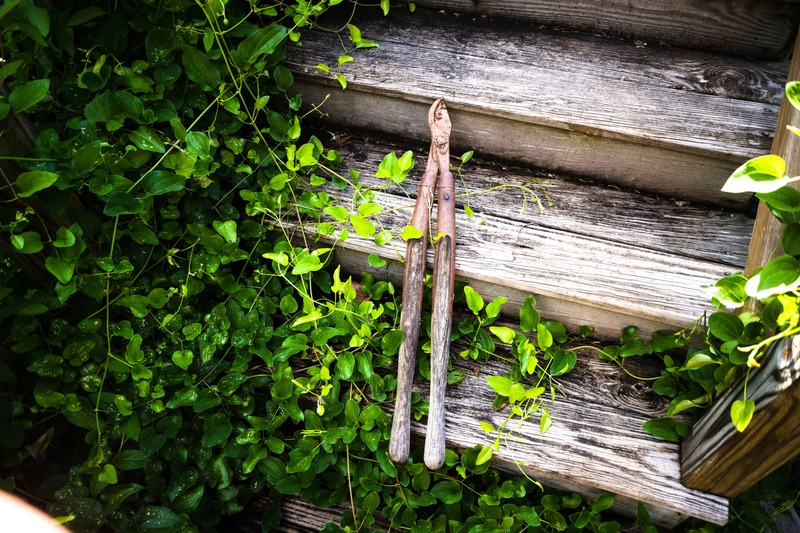 Abandoned Tools Amidst Nature