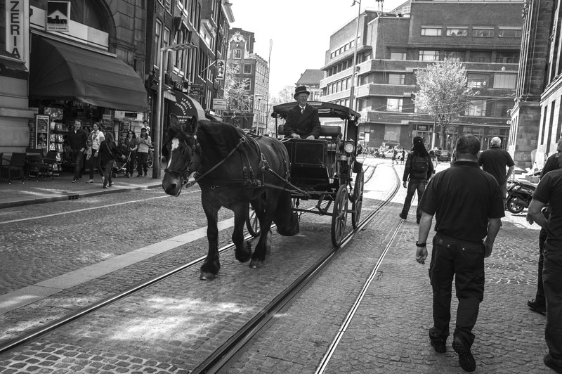 Urban Carriage Amidst Modernity