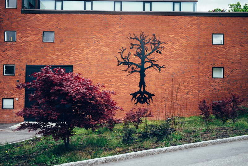 Urban Nature's Silhouette