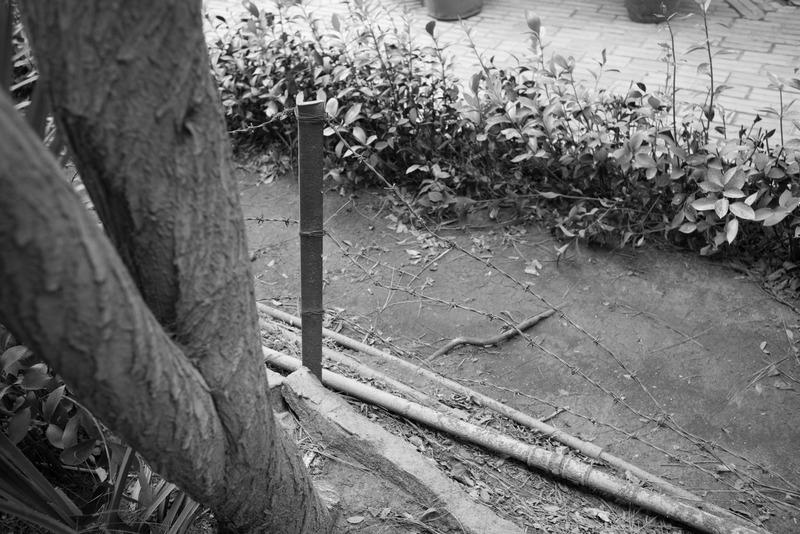 Quiet Intrigue in Monochrome