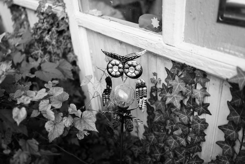 Whimsical Garden Guardian