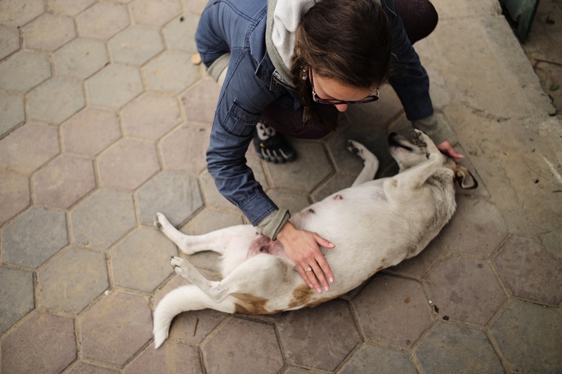 A Moment of Connection