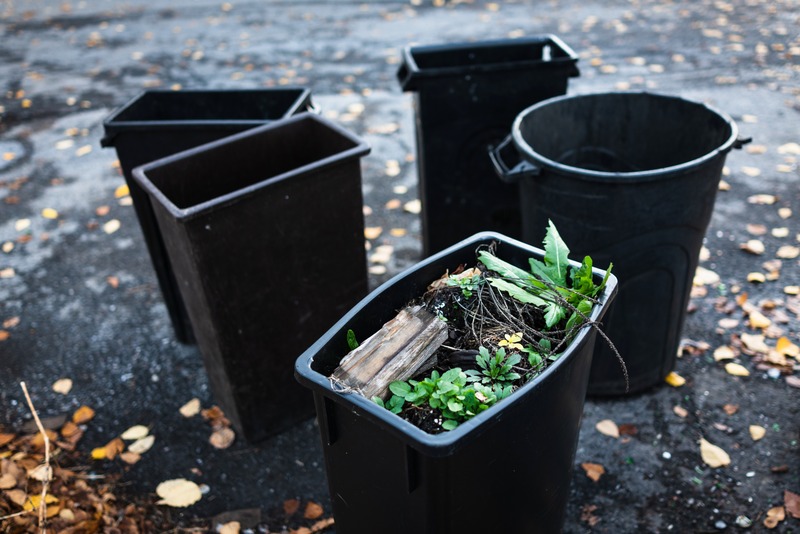 Resilience Amidst Waste