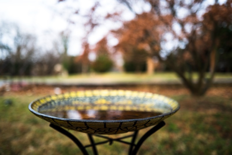 Reflections of Autumn