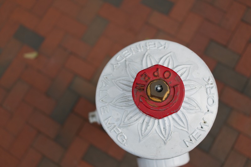 Urban Hydrant Portrait