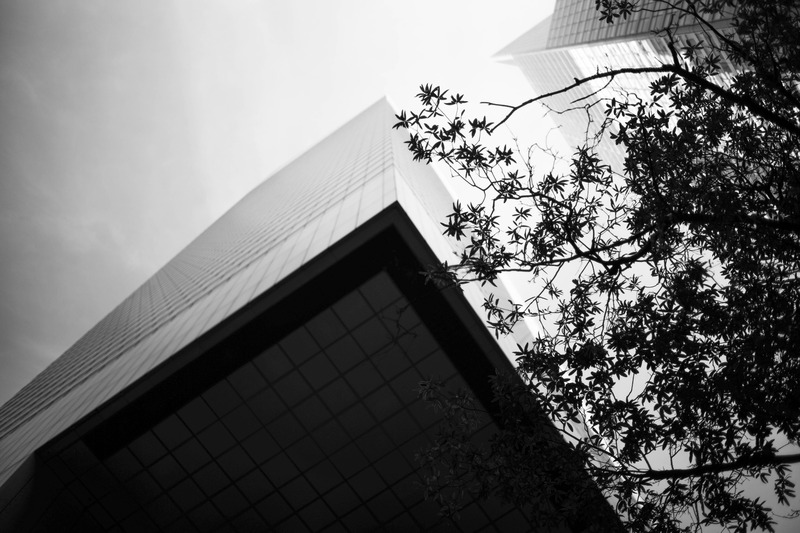 Urban Nature Contrast