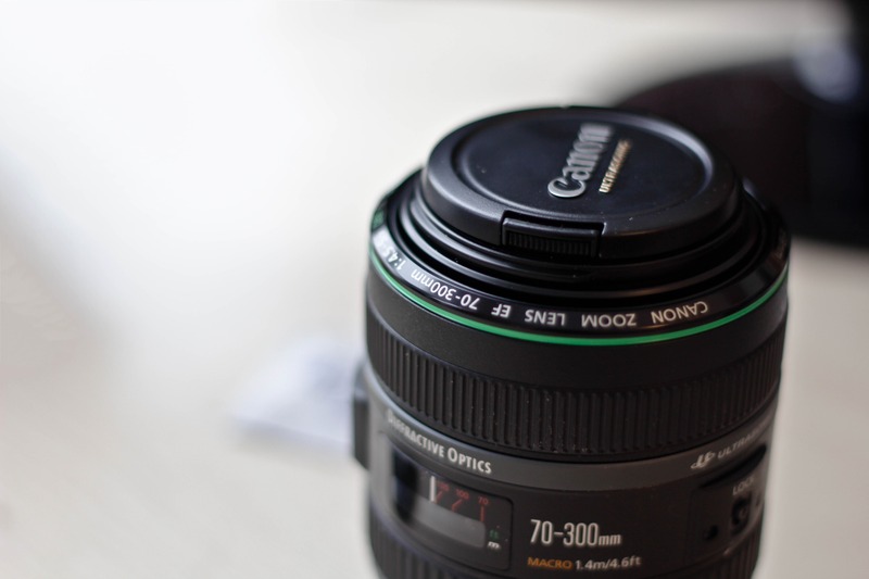 Lens in Focus