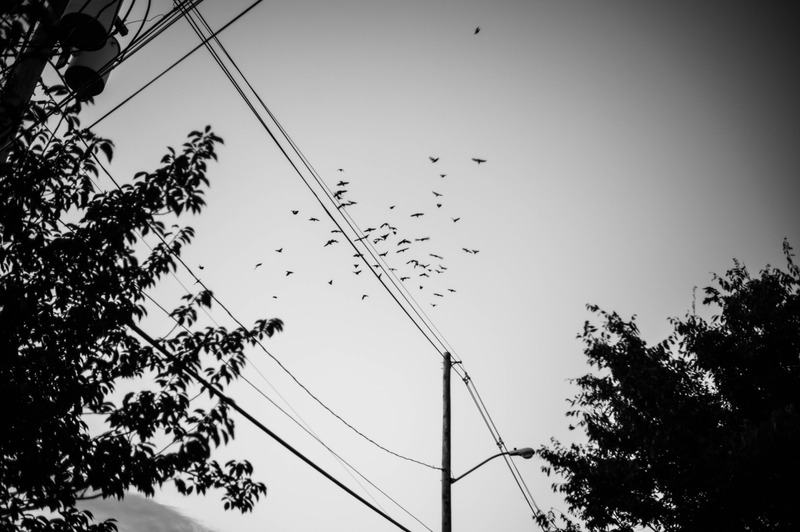 Fleeting Moments in Flight