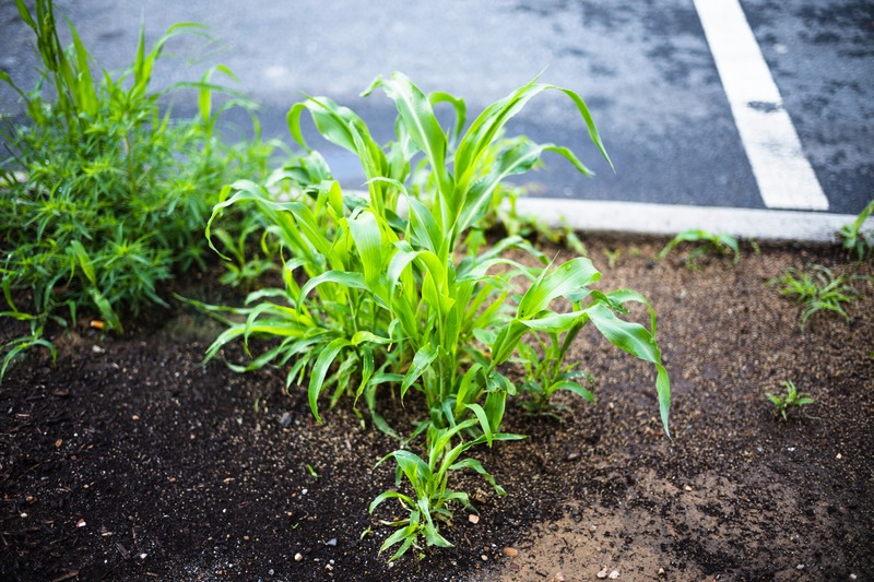 Resilience in Concrete