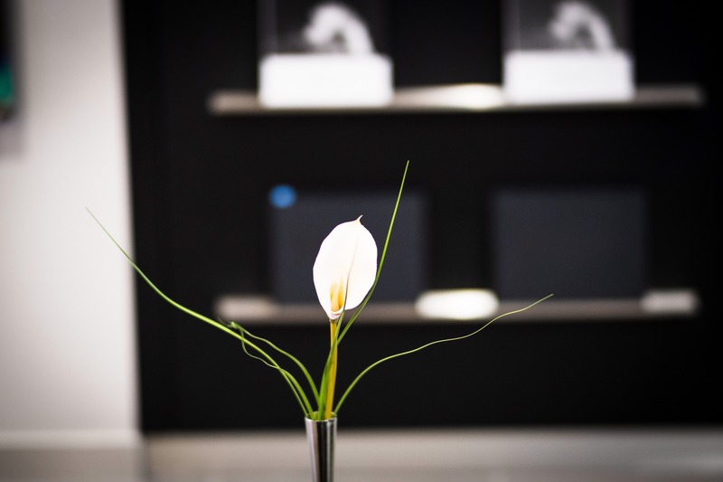 Minimalist Floral Elegance