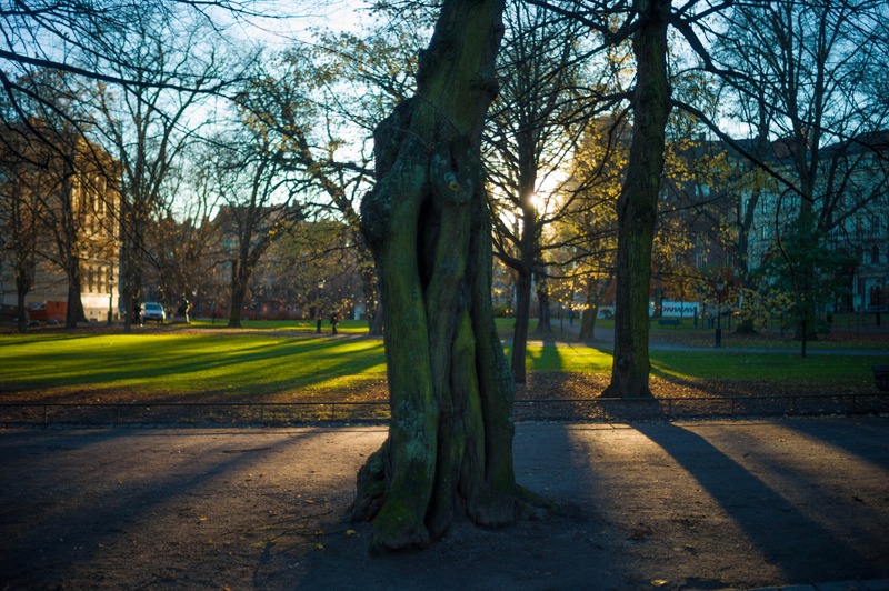 Whispers of an Autumn Evening