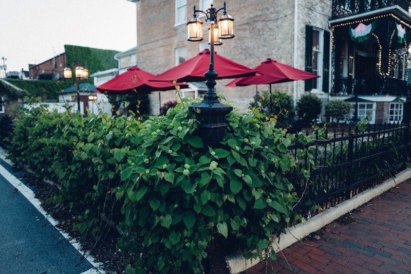 Charming Evening Oasis