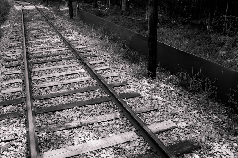 Whispers of Abandonment