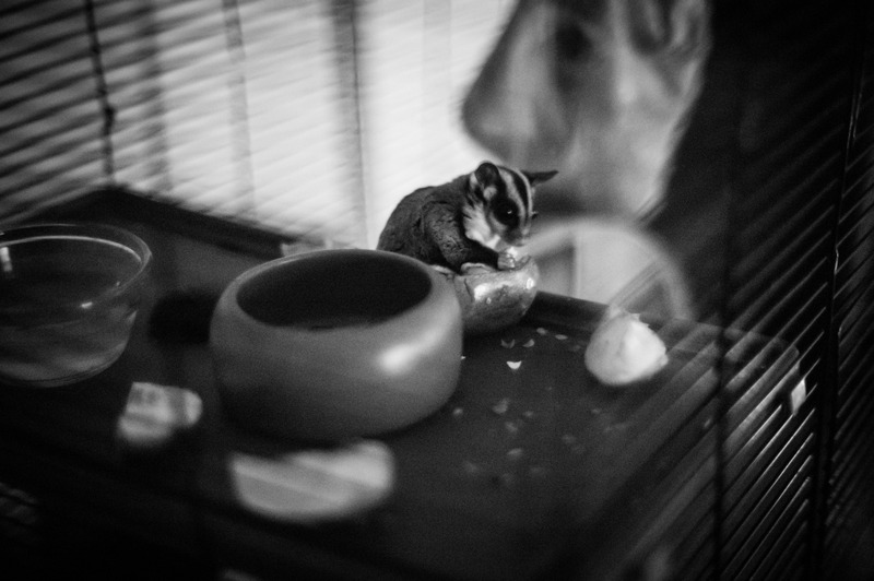 Quiet Moments of Solitude