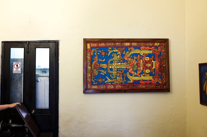 Vibrant Cultural Insights