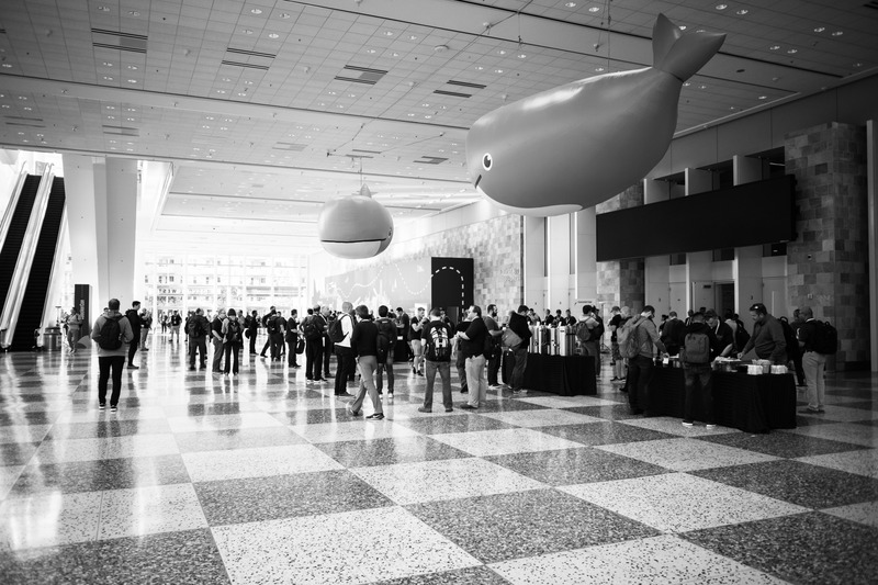 Whimsical Gathering Under Whales