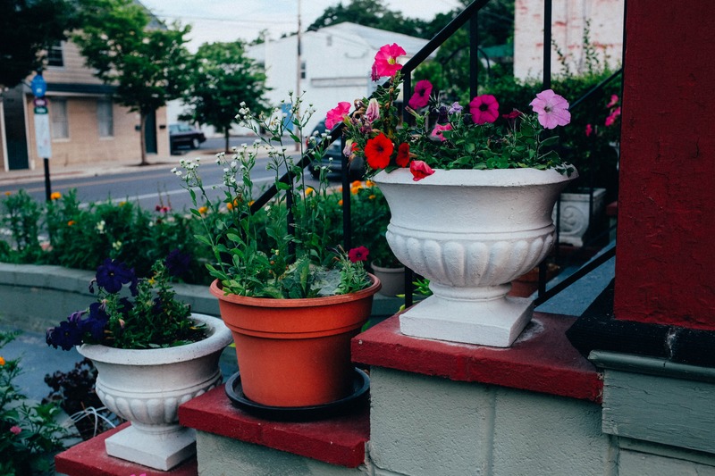 Vibrant Floral Steps