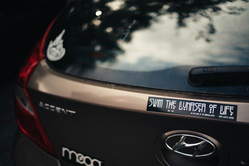 Whimsical Car Insights