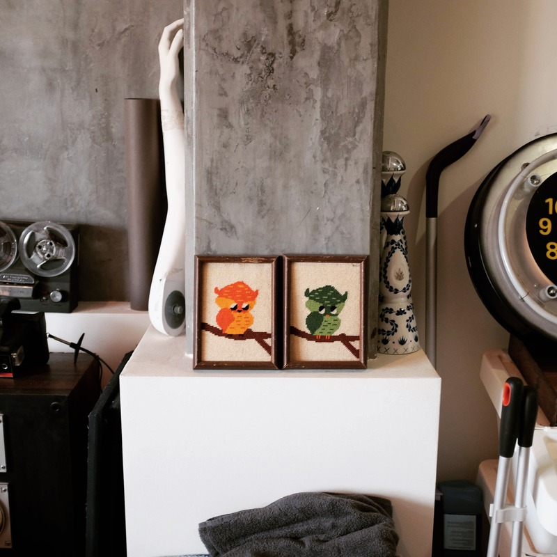 Whimsical Owl Portraits