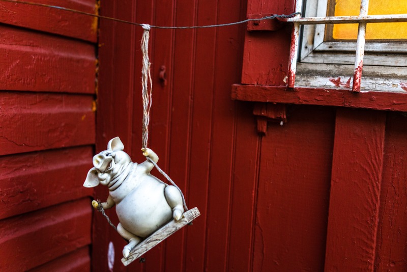 Whimsical Pig on a Swing