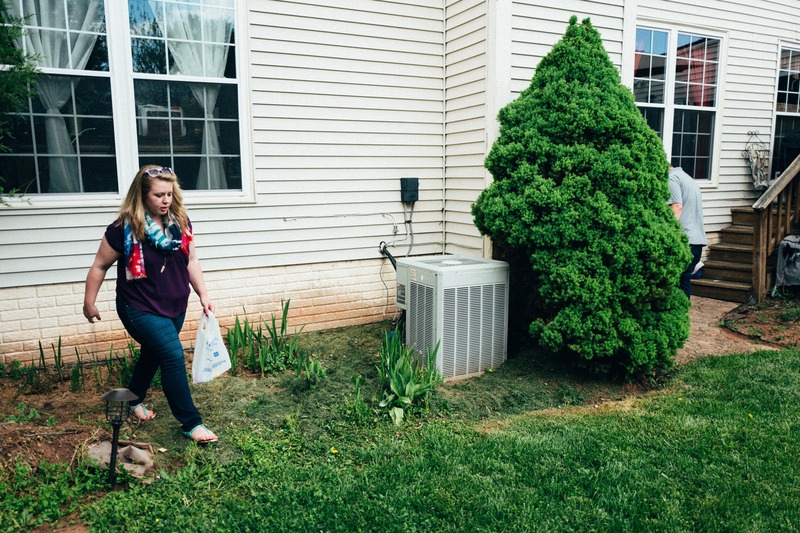 Everyday Moments in Nature