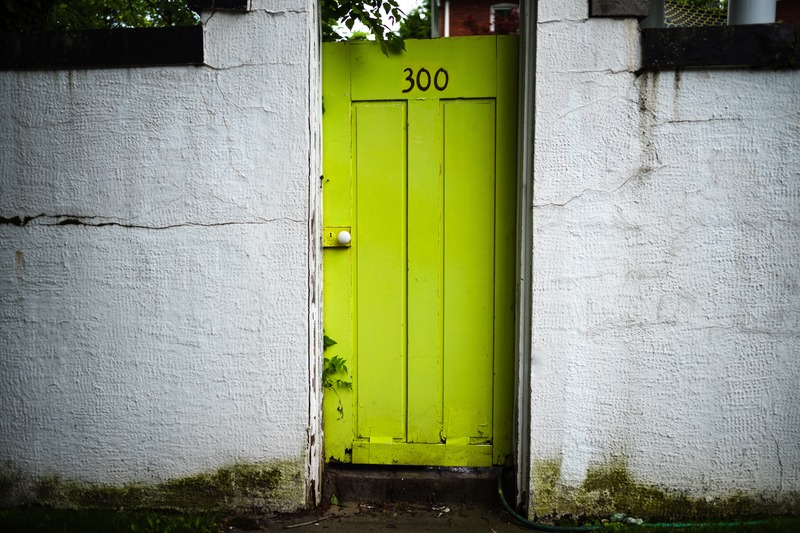 The Curious Green Portal