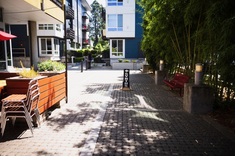 Serene Urban Pathway