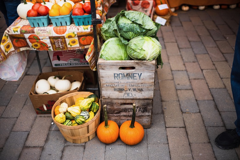 Autumn Harvest Bounty