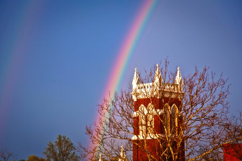 Harmony of Nature and Architecture