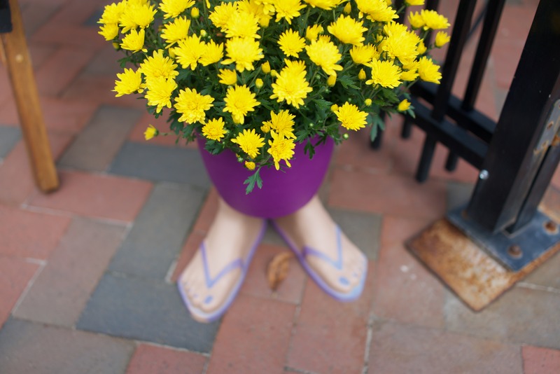 Whimsical Floral Encounter