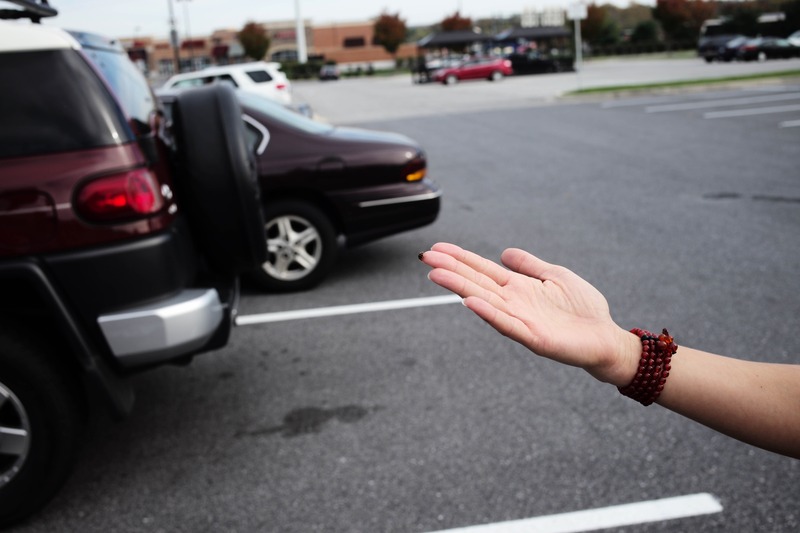 A Gesture of Invitation