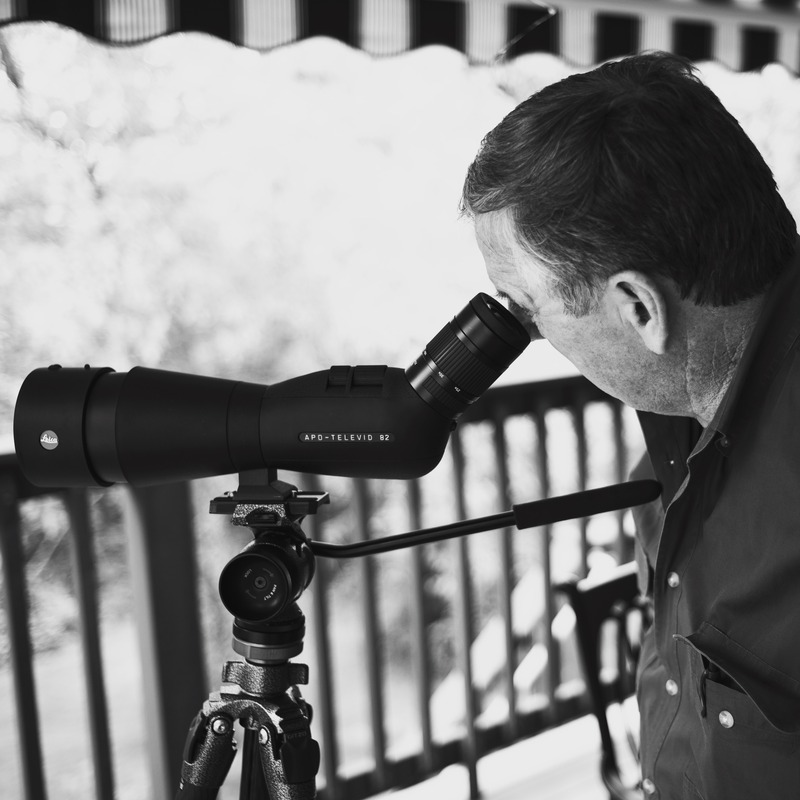 The Observer's Focus