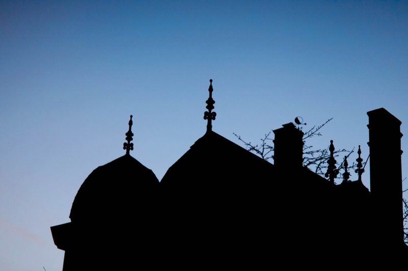 Silhouette Against Twilight